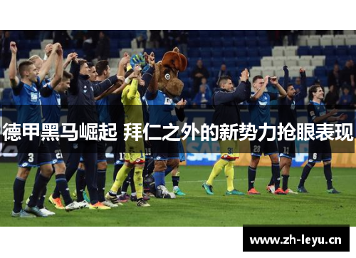 德甲黑马崛起 拜仁之外的新势力抢眼表现