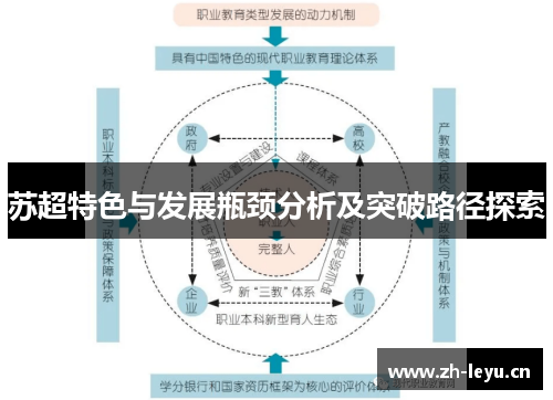 苏超特色与发展瓶颈分析及突破路径探索